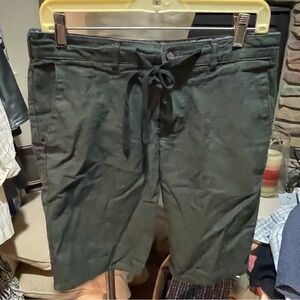 Bullhead Dark Green Flat Front Shorts